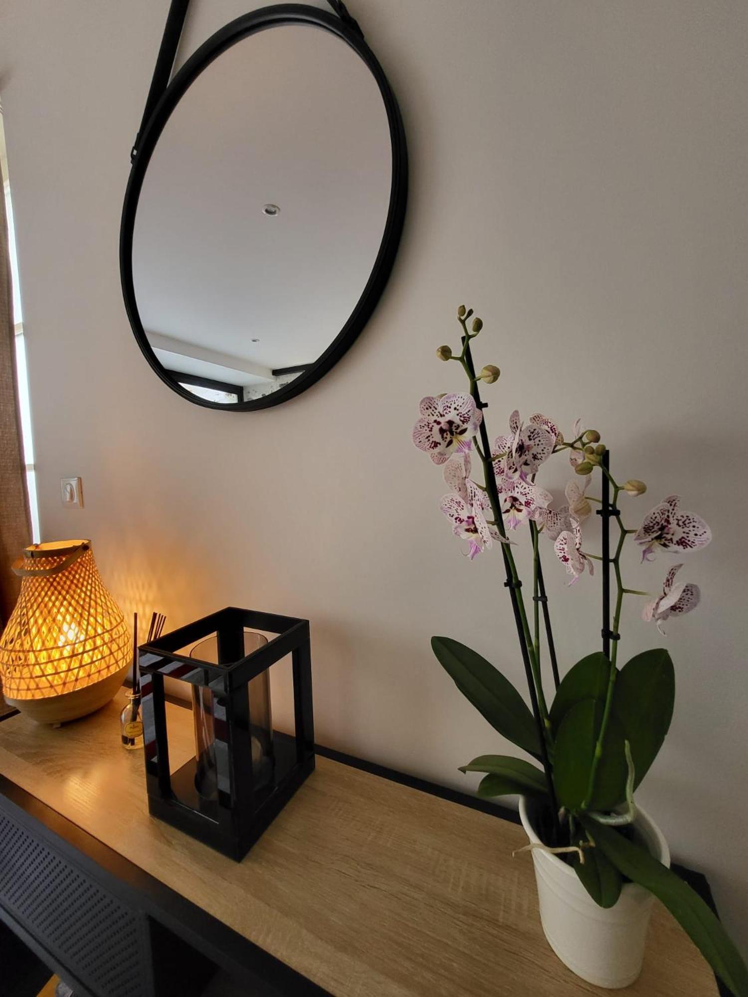 Le Patio - Appartement Calme - Hyper Centre Pau Luaran gambar